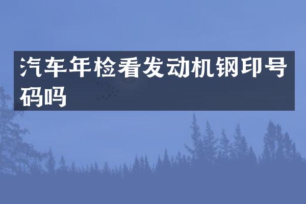 汽车年检看发动机钢印号码吗