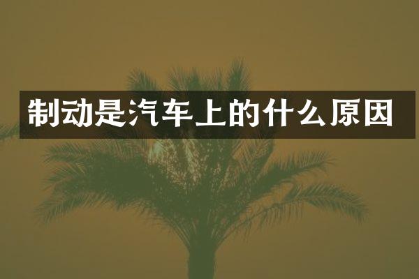 制动是汽车上的什么原因