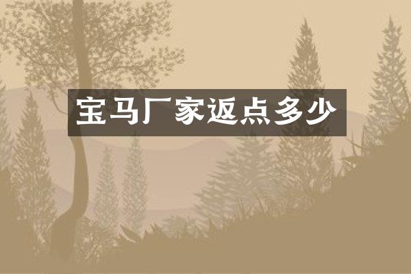 宝马厂家返点多少