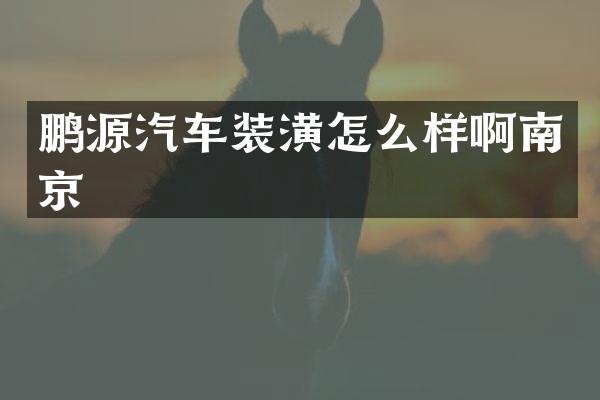 鹏源汽车装潢怎么样啊南京