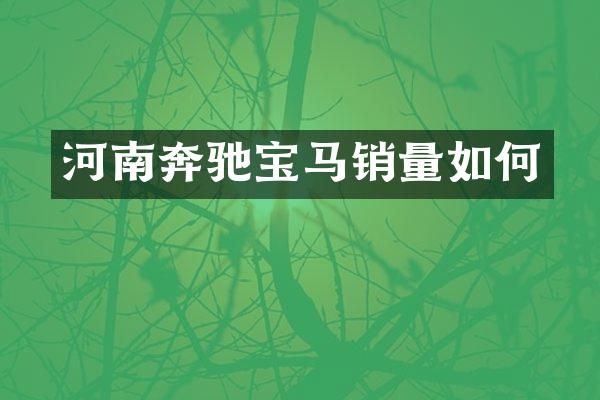 河南奔驰宝马销量如何
