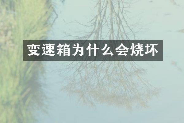 变速箱为什么会烧坏