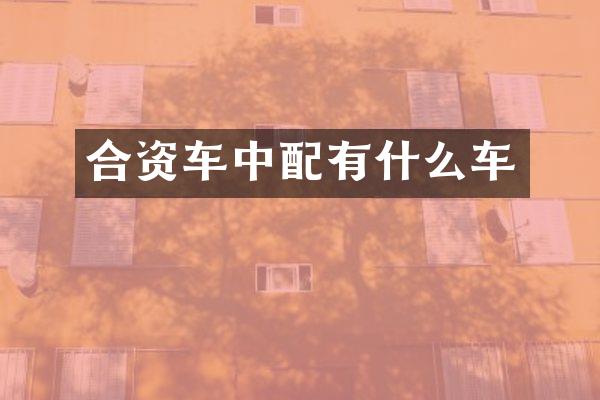 合资车中配有什么车