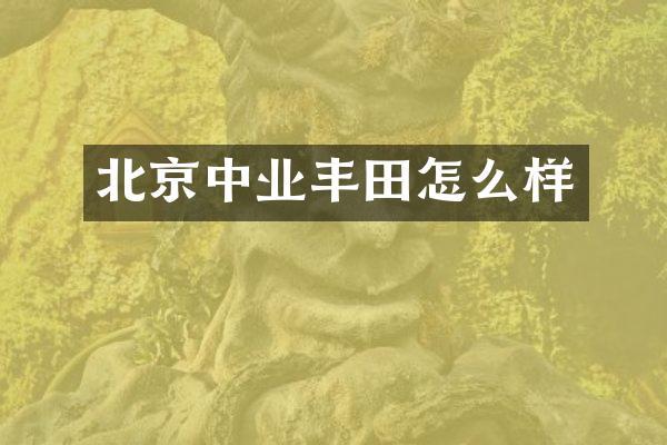 北京中业丰田怎么样