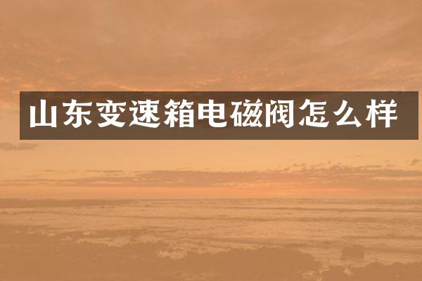 山东变速箱电磁阀怎么样