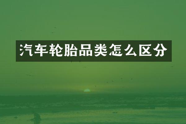 汽车轮胎品类怎么区分