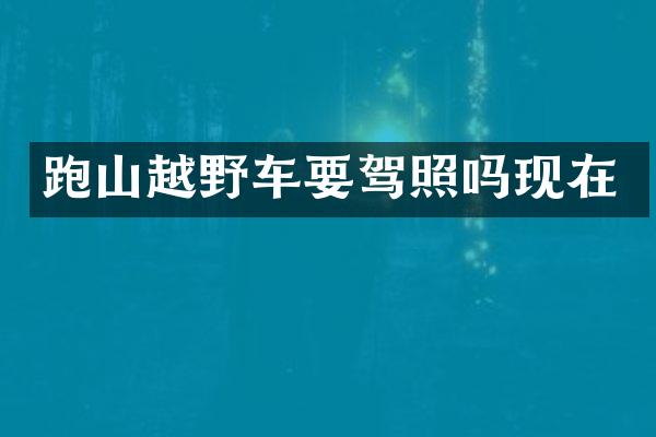跑山越野车要驾照吗现在