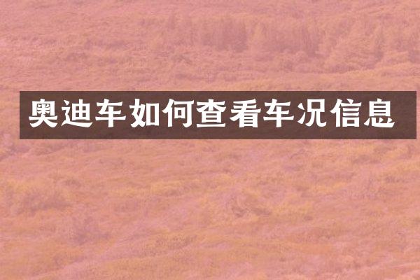 奥迪车如何查看车况信息