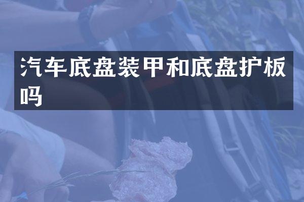 汽车底盘装甲和底盘护板吗