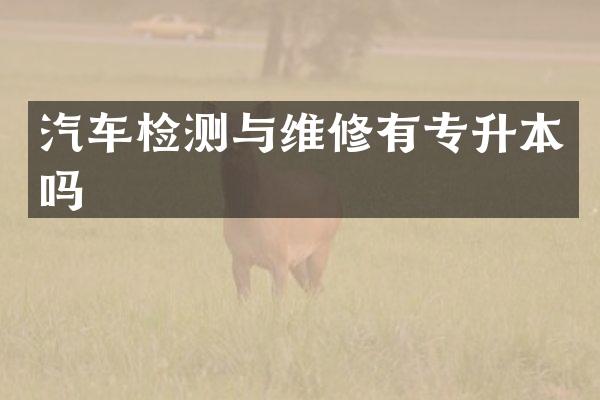 汽车检测与维修有专升本吗