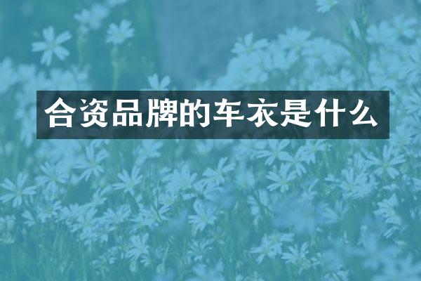 合资品牌的车衣是什么