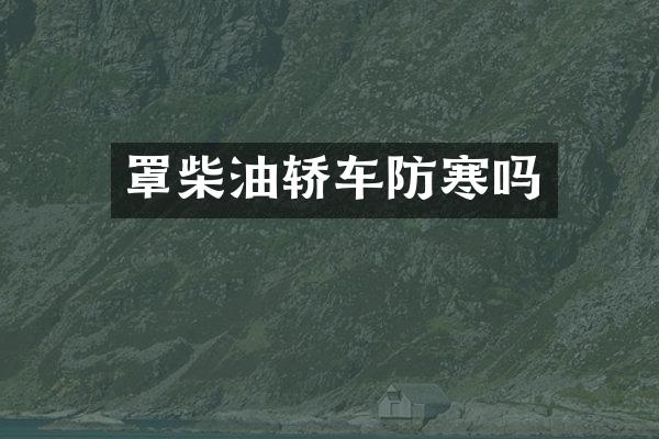 罩柴油轿车防寒吗