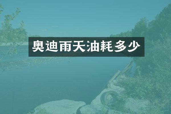 奥迪雨天油耗多少