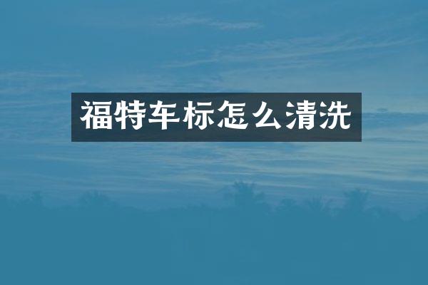 福特车标怎么清洗