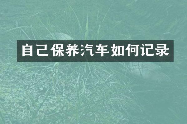 自己保养汽车如何记录