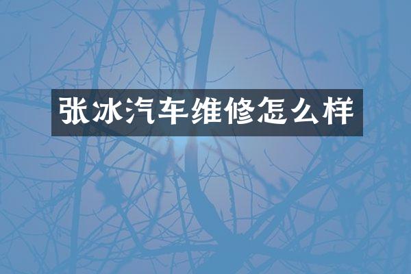 张冰汽车维修怎么样