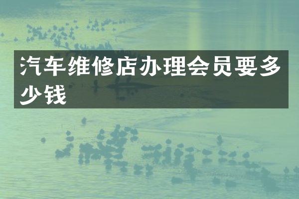 汽车维修店办理会员要多少钱
