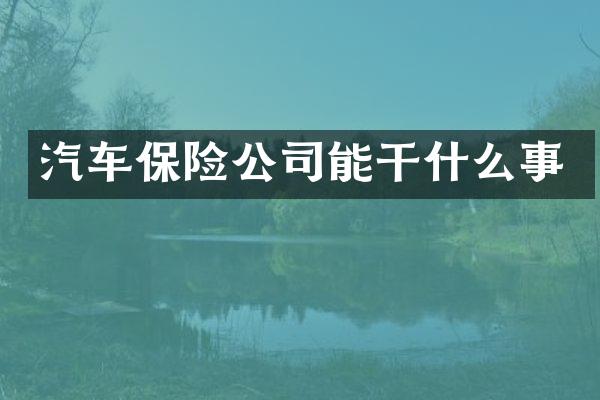 汽车保险公司能干什么事