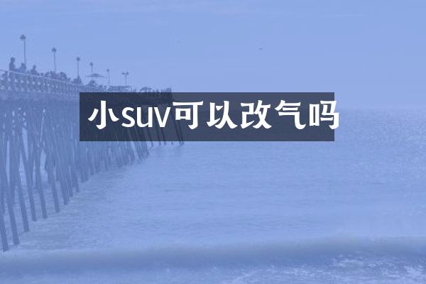 小suv可以改气吗