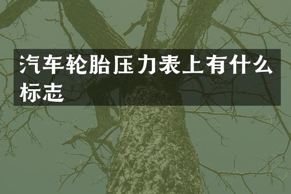 汽车轮胎压力表上有什么标志