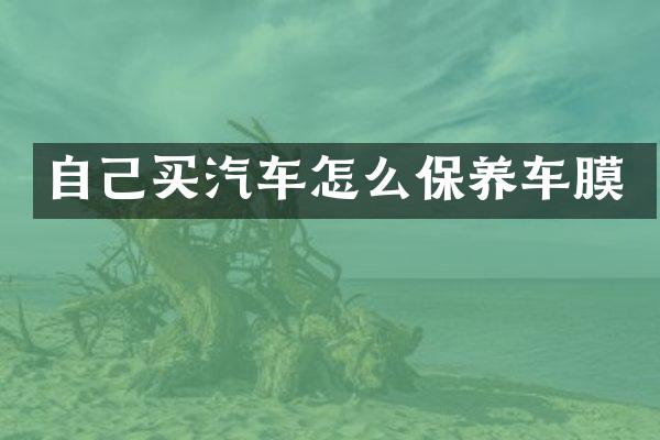 自己买汽车怎么保养车膜