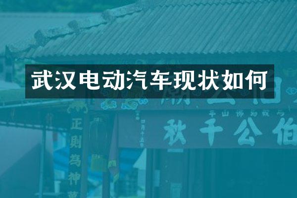 武汉电动汽车现状如何