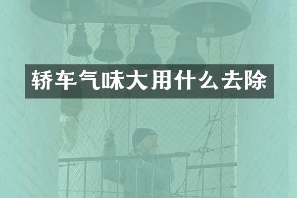 轿车气味大用什么去除