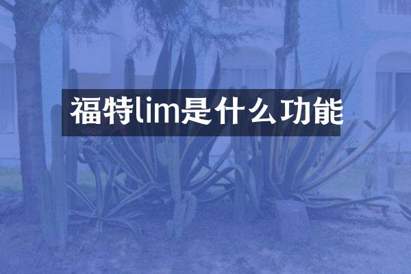 福特lim是什么功能