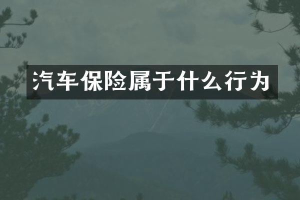 汽车保险属于什么行为