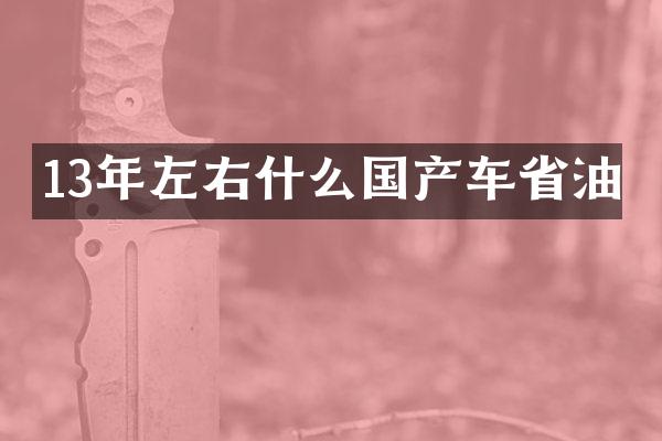 13年左右什么国产车省油