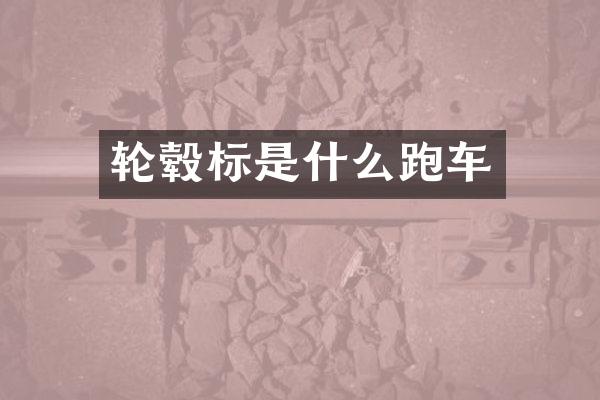 轮毂标是什么跑车
