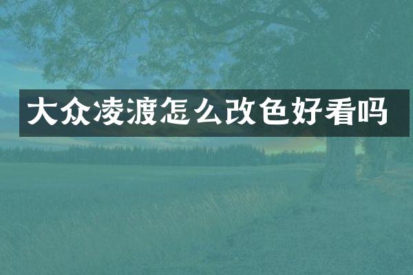 大众凌渡怎么改色好看吗