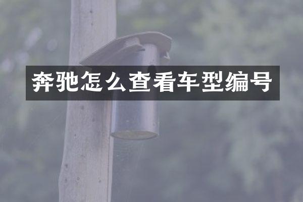 奔驰怎么查看车型编号