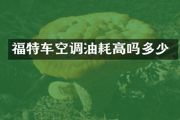 福特车空调油耗高吗多少