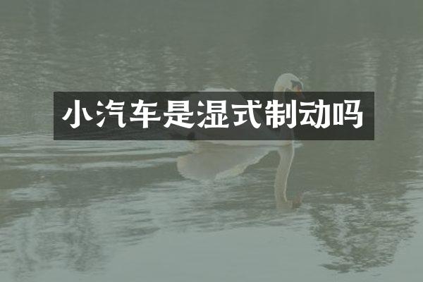 小汽车是湿式制动吗