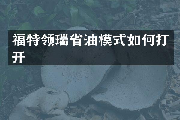 福特领瑞省油模式如何打开