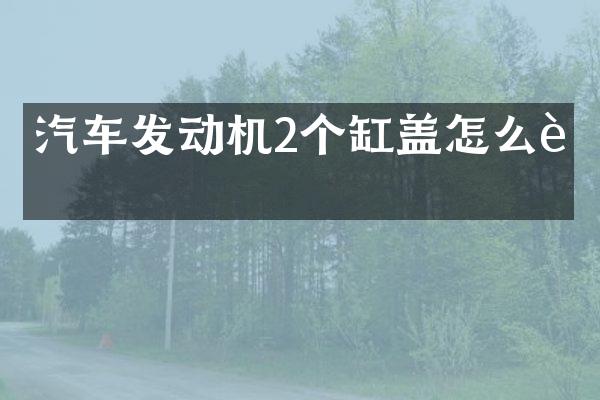 汽车发动机2个缸盖怎么装
