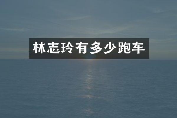 林志玲有多少跑车