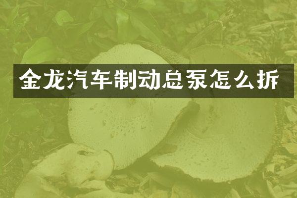 金龙汽车制动总泵怎么拆