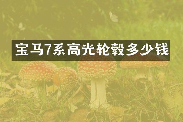 宝马7系高光轮毂多少钱