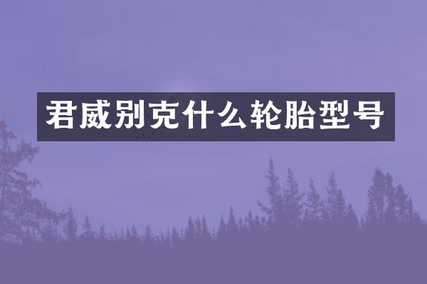 君威别克什么轮胎型号