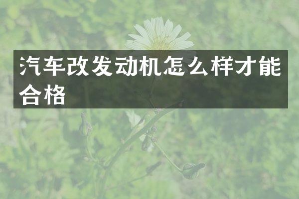 汽车改发动机怎么样才能合格