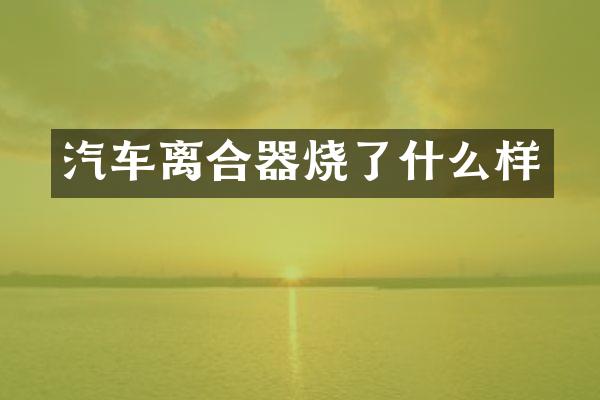 汽车离合器烧了什么样