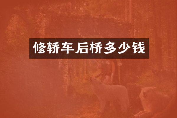 修轿车后桥多少钱