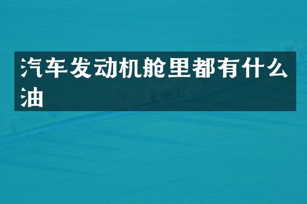 汽车发动机舱里都有什么油