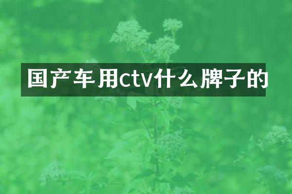 国产车用ctv什么牌子的