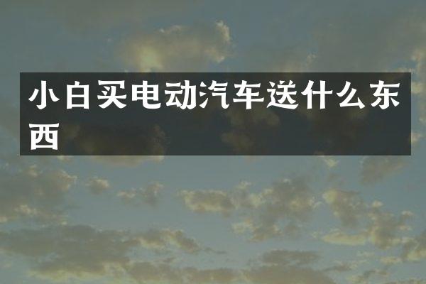 小白买电动汽车送什么东西