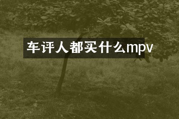 车评人都买什么mpv