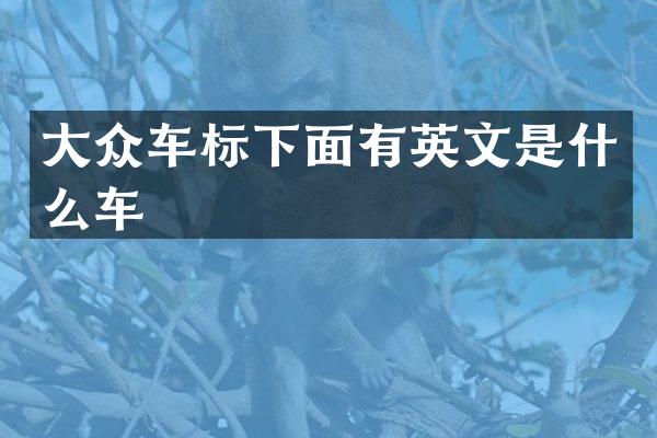 大众车标下面有英文是什么车