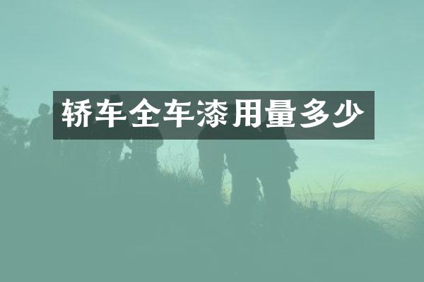 轿车全车漆用量多少